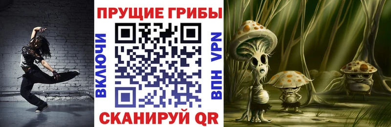 Галлюциногенные грибы мицелий  Купить закладки  Кандалакша 